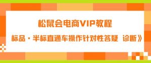 松鼠会电商VIP教程:松鼠《付费推广标品·半标直通车操作针对性答疑&诊断》-致富资源库
