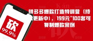 拼多多爆款打造特训营(持续更新中),199元*100套可复制爆款案例-致富资源库