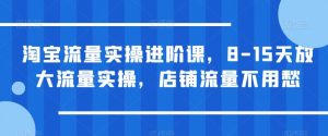 淘宝流量实操进阶课，8-15天放大流量实操，店铺流量不用愁-致富资源库