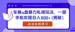 车载u盘暴力私域玩法,一部手机实现日入300+【揭秘】-致富资源库