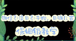 微信互推圈半自动引流方案,矩阵操作日引千人思路【详细视频教程】-致富资源库