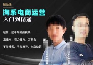 2023手淘搜索实操课+体系化课程,起店起单品实操视频课程-致富资源库