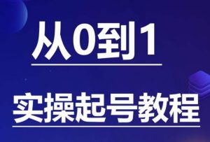 石野·小白起号实操教程,掌握各种起号的玩法技术,了解流量的核心-致富资源库