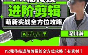 PR进阶剪辑培训班,让你快速成为剪辑大师12节视频课程+素材!-致富资源库