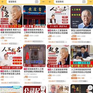 拆解小红书宝宝起名虚拟副业项目,一条龙实操玩法分享给你(教程+软件)-致富资源库