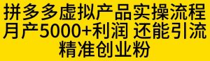 拼多多虚拟产品实操流程,月产5000+利润,还能引流精准创业粉【揭秘】-致富资源库