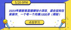2023年最新看直播赚钱小项目,适合宝妈在家操作,一个号一个月赚1000多(揭秘)-致富资源库