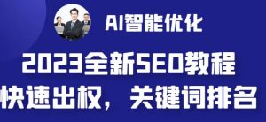 2023最新网站AI智能优化SEO教程,简单快速出权重,AI自动写文章+AI绘画配图-致富资源库