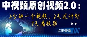 中视频原创视频2.0：3分钟一个视频，2天过计划，7天看效果【揭秘】-致富资源库