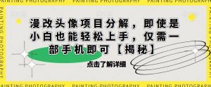 漫改头像项目分解，即使是小白也能轻松上手，仅需一部手机即可【揭秘】-致富资源库