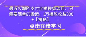 最近火爆的支付宝短视频项目,只需要简单的搬运,1万播放收益300+【揭秘】-致富资源库