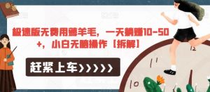 极速版无费用薅羊毛,一天躺赚10-50+,小白无脑操作【拆解】-致富资源库