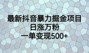 最新抖音暴力掘金项目,日涨万粉,一单变现500+【揭秘】-致富资源库