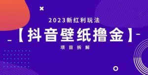 抖音壁纸小程序创作者撸金项目，2023新红利玩法【项目拆解】-致富资源库