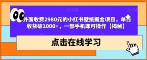 外面收费2980元的小红书壁纸掘金项目，单日收益破1000+，一部手机即可操作【揭秘】-致富资源库