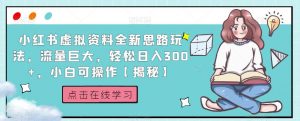 小红书虚拟资料全新思路玩法,流量巨大,轻松日入300+,小白可操作【揭秘】-致富资源库