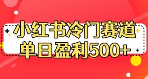 小红书冷门赛道，单日盈利500+【揭秘】-致富资源库
