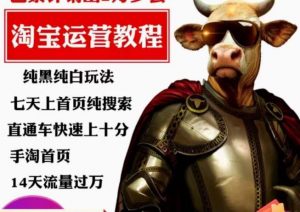 猫老师·淘系算法逆向解密,纯黑纯白玩法,七天上首页纯搜索,手淘首页14天流量过万-致富资源库