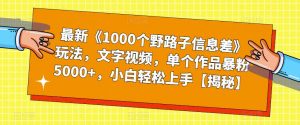 最新《1000个野路子信息差》玩法，文字视频，单个作品暴粉5000+，小白轻松上手【揭秘】-致富资源库