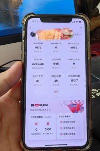 超级蓝海赛道保姆级教学,小红书无货源,无需实拍,如何做到日入1000+【揭秘】-致富资源库