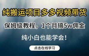 纯搬运项目多多视频带货保姆级教程,1个月搞5w佣金,纯小白也能学会【揭秘】-致富资源库