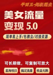 TK美女短视频变现项目无限复制(升级版),全网最高性价比项目【揭秘】-致富资源库