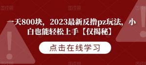 一天800块,2023最新反撸pz玩法,小白也能轻松上手【仅揭秘】-致富资源库
