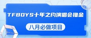 最新蓝海项目,靠最近非常火的TFBOYS十年之约演唱会流量掘金,八月必做的项目【揭秘】-致富资源库