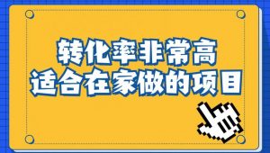 小红书虚拟电商项目:从小白到精英(视频课程+交付手册)-致富资源库