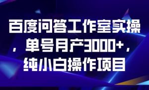 百度问答工作室实操，单号月产3000+，纯小白操作项目【揭秘】-致富资源库