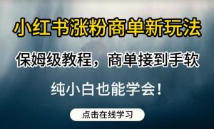 小红书涨粉商单新玩法,保姆级教程,商单接到手软,纯小白也能学会【揭秘】-致富资源库
