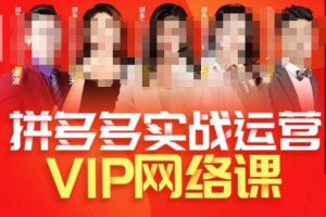 推易拼多多VIP全套直播课程，拼多多店铺实操玩法+实战玩法选款内功+直通车高阶等-致富资源库