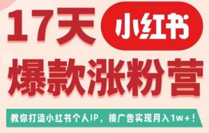 17天小红书爆款涨粉营(广告变现方向),教你打造小红书博主IP、接广告变现的-致富资源库