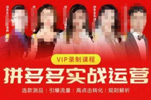 2023推易拼多多实战运营，选款测品、引爆流量、高点击转化、规则解析-致富资源库