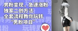 男粉变现，急速涨粉独家二创方法，全套流程教你玩转“男粉项目”【揭秘】-致富资源库