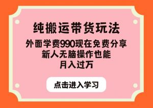 纯搬运带货玩法，外面学费990现在免费分享，新人无脑操作也能月入过万【揭秘】-致富资源库