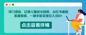 冷门项目，记录儿童成长档案，小红书虚拟资源变现，一部手机实现日入300+【揭秘】-致富资源库