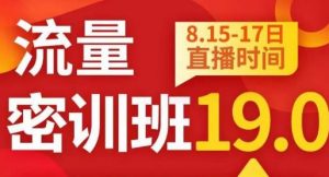 秋秋线上流量密训班19.0，打通流量关卡，线上也能实战流量破局-致富资源库