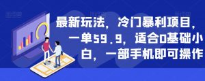 最新玩法,冷门暴利项目,一单59.9,适合0基础小白,一部手机即可操作【揭秘】-致富资源库