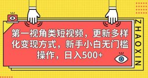 第一视角类短视频,更新多样化变现方式,新手小白无门槛操作,日入500+【揭秘】-致富资源库