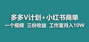 【蓝海项目】多多v计划+小红书商单一个视频三份收益工作室月入10w-致富资源库