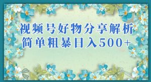 视频号好物分享解析，简单粗暴可以批量方大的项目【揭秘】-致富资源库