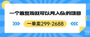 一单卖299-2688,一个靠复购就可以月入6k的暴利项目【揭秘】-致富资源库