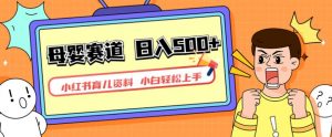 小红书育儿资料，一部手机可操作，多种变现方式，日入500+，私域变现，长期可持续项目【揭秘】-致富资源库