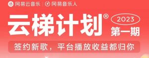 2023年8月份网易云最新独家挂机技术,真正实现挂机月入5000【揭秘】-致富资源库