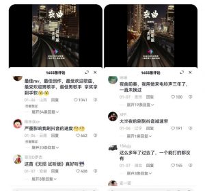 副业拆解:抖音杰伦音乐号涨粉变现项目,视频版一条龙实操玩法分享给你-致富资源库