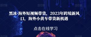 黑冰·海外短视频带货,2023年跨境新风口,海外小黄车带货新机遇-致富资源库