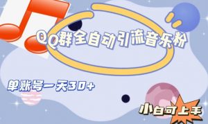 QQ群全自动引流音乐粉，单账号一天轻松引流30+-致富资源库