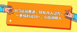 冷门运动赛道，轻松月入过万，一单纯利润30+，小白闭眼入【揭秘】-致富资源库