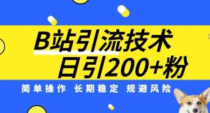 B站引流技术:每天引流200精准粉,简单操作,长期稳定,规避风险-致富资源库
